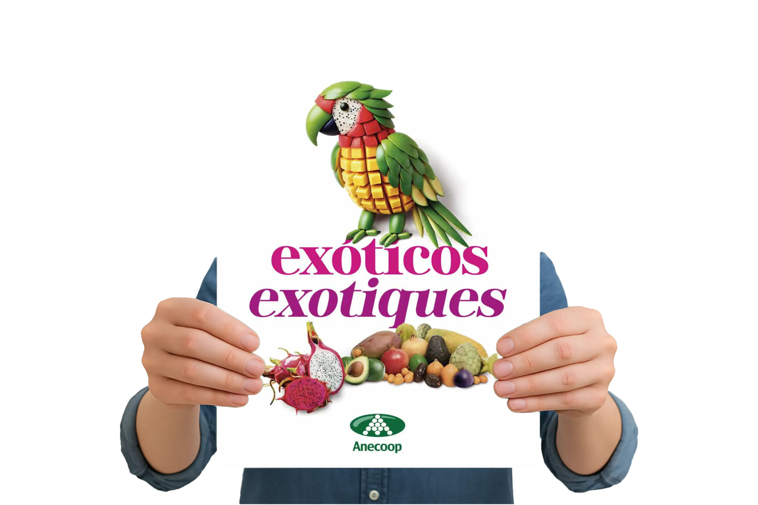 EXOTICOSesp-fr_2025-WEB