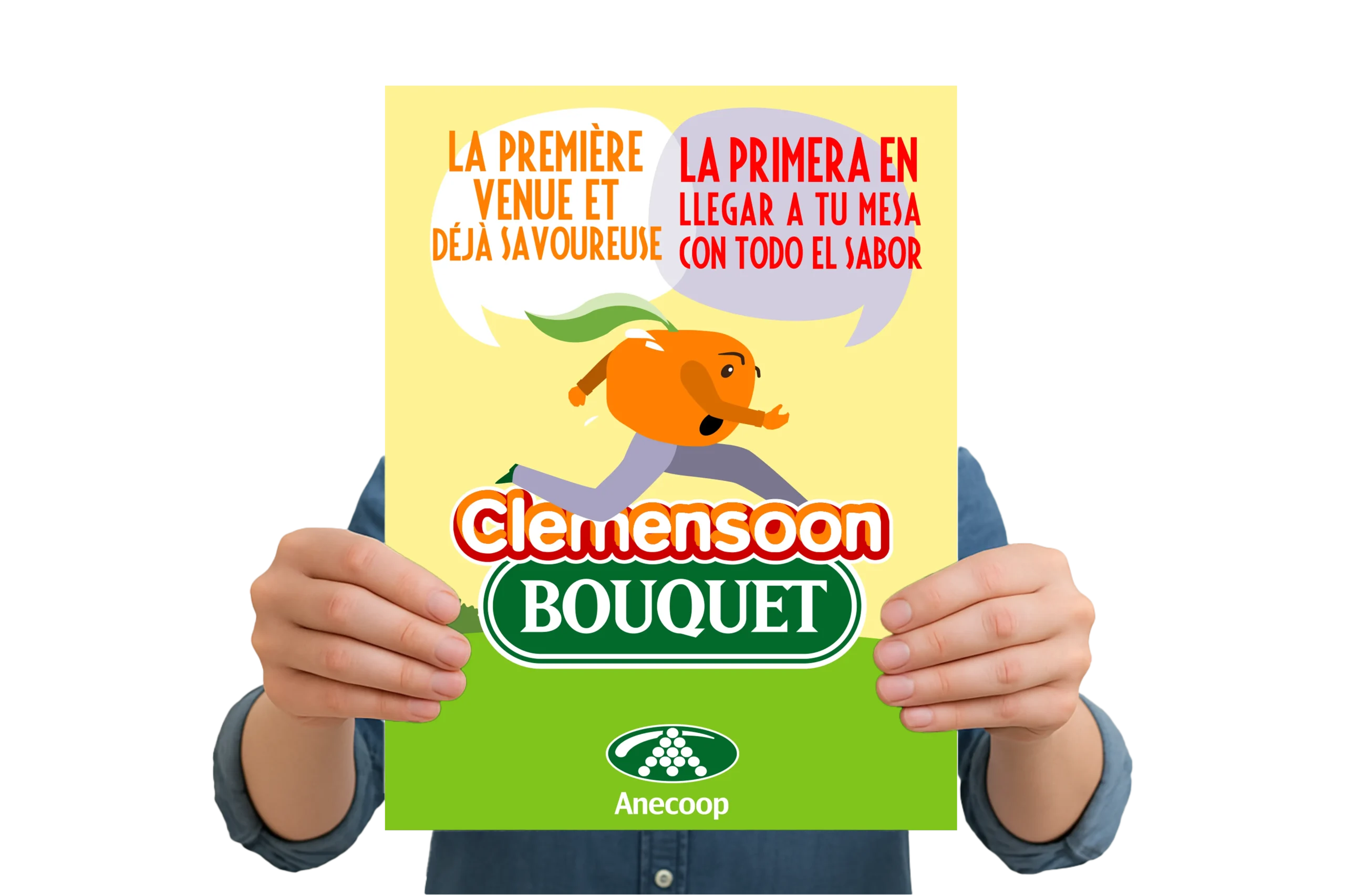 Folleto-Clemensoon-Español-Frances-2018-WEB_1753355826