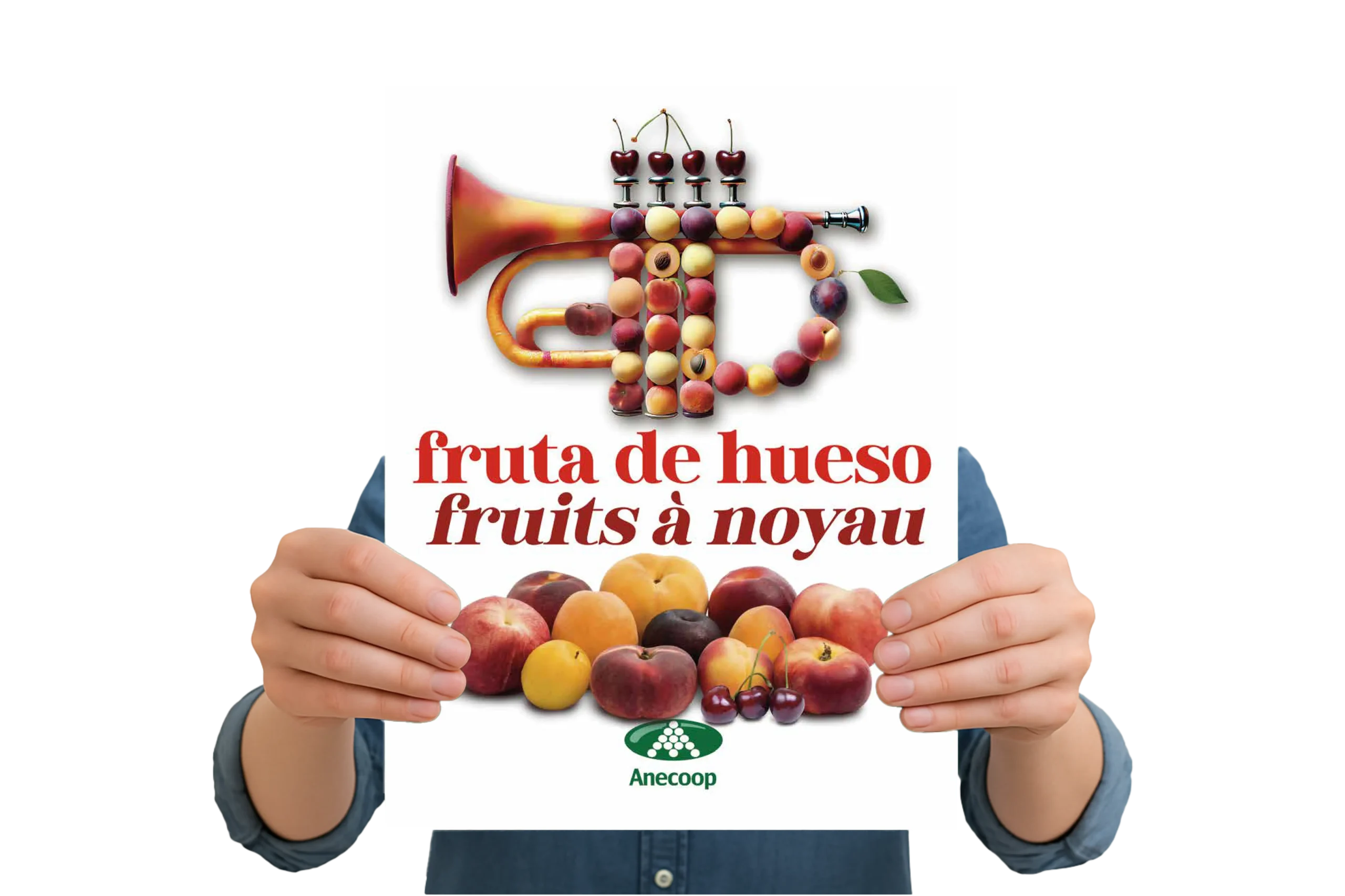 Folleto-FRUTA-DE-HUESO-esp_fran-2025-WEB