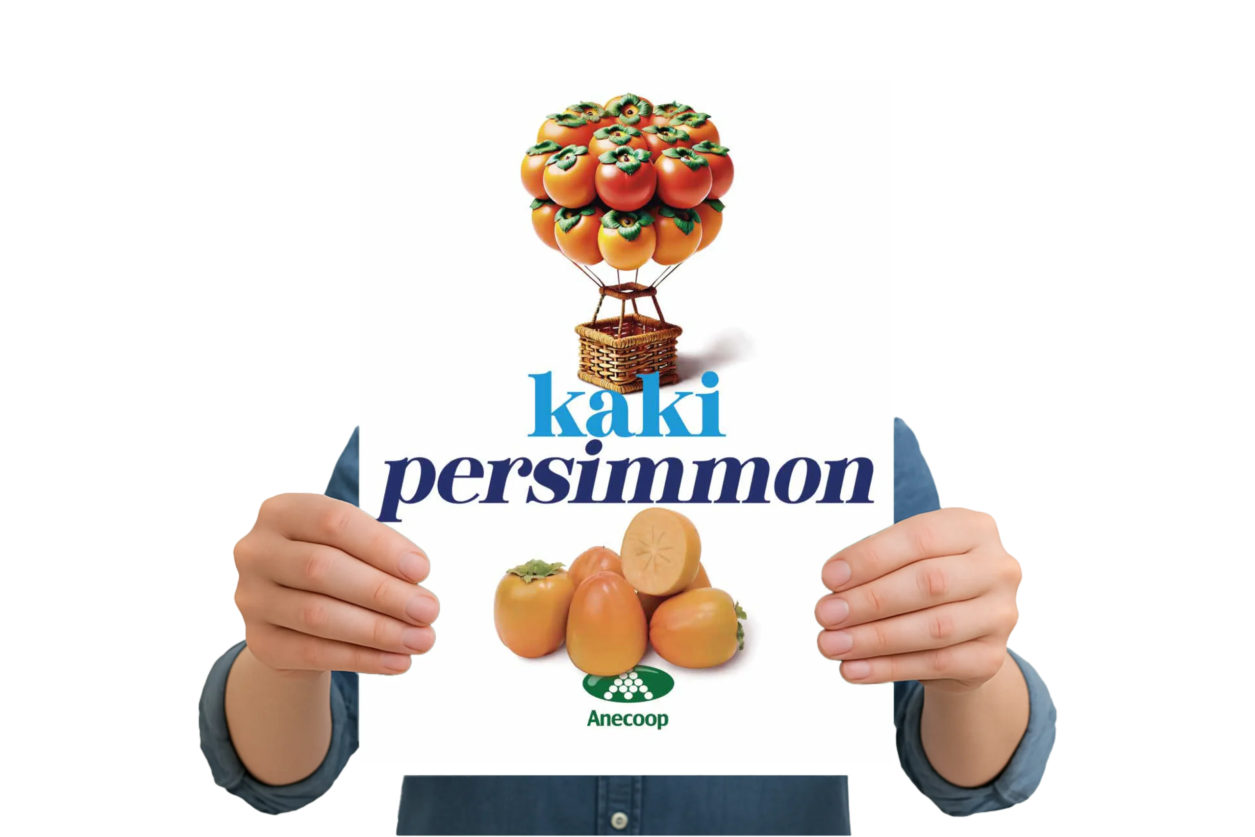 Folleto-PERSIMON-2025-WEB