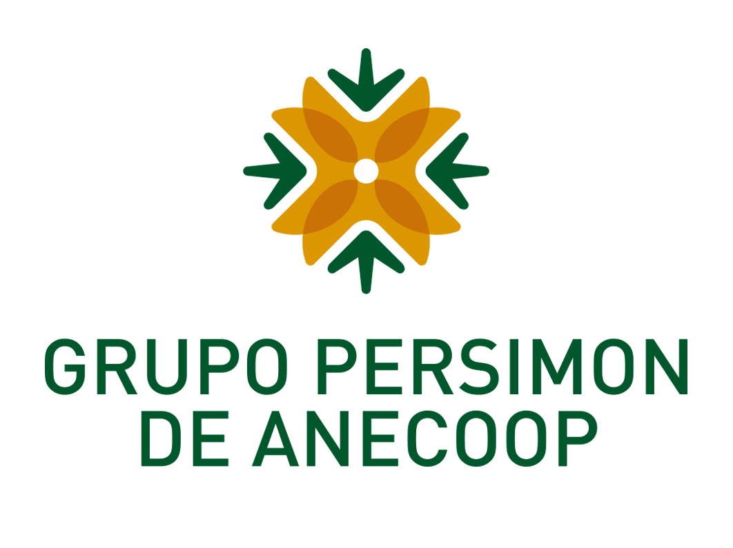 Grupo Persimon transparente
