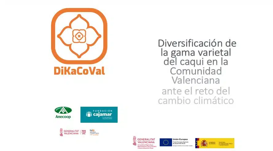 Logo-DikacoVal2