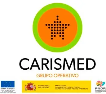 Logo-Carismed